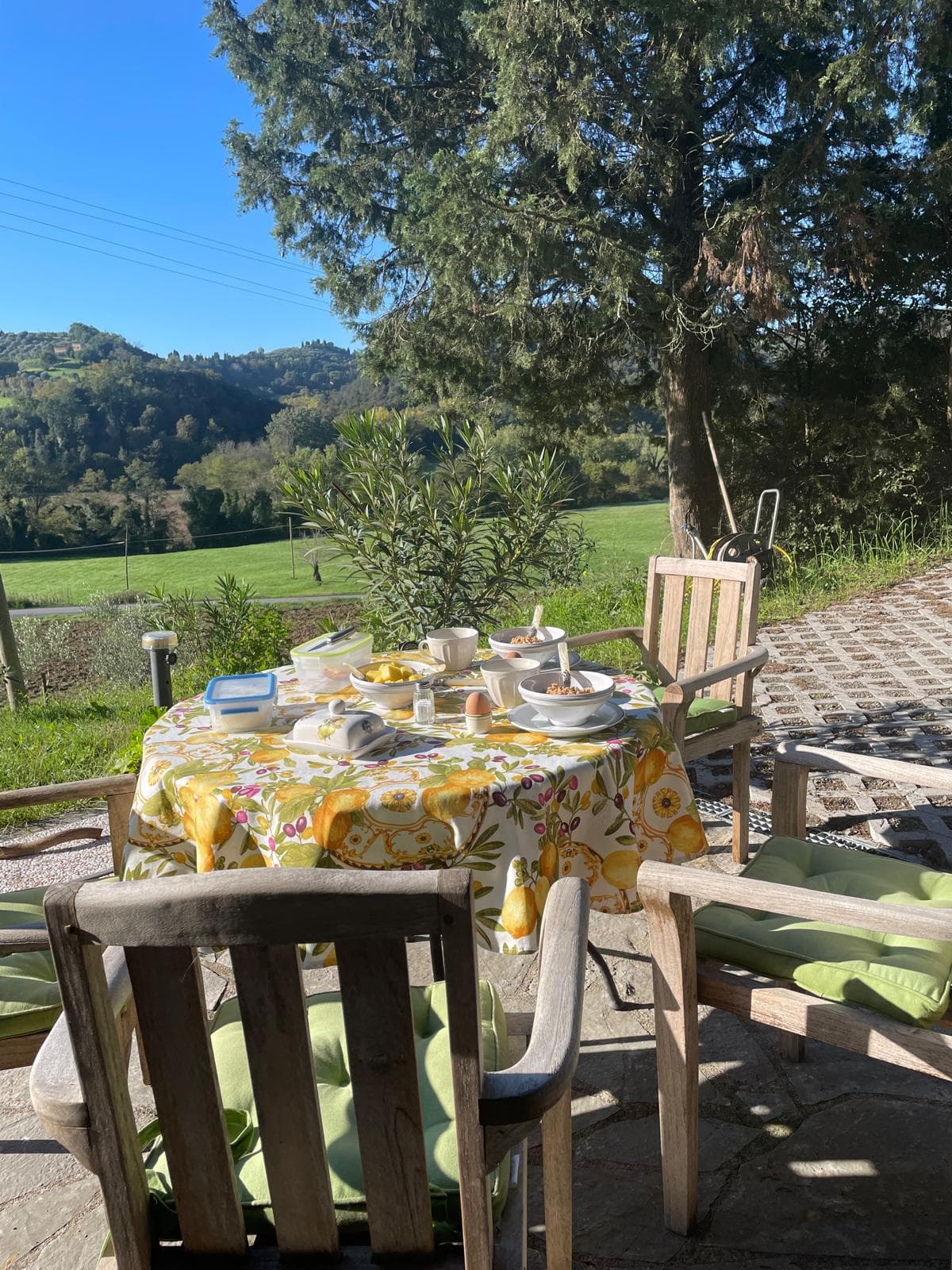 Al fresco breakfast set under a cypress with hills beyond